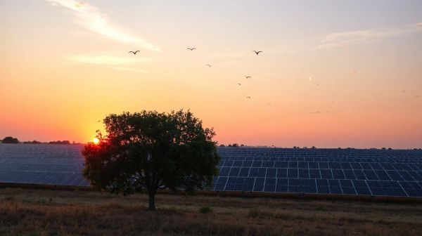 Les sources d'énergie renouvelable qui étonnent vraiment